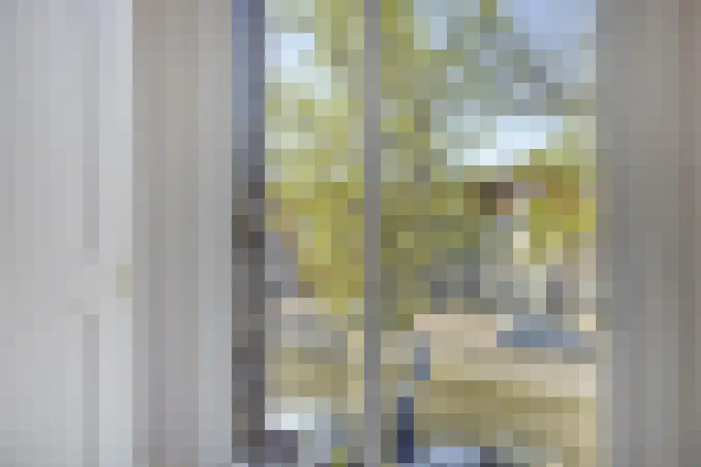Burgwal 131 Kampen thumbnail 33