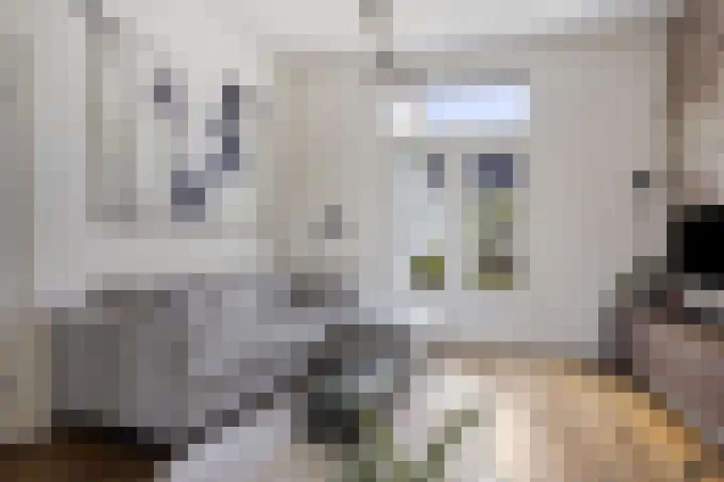 Burgwal 131 Kampen thumbnail 4