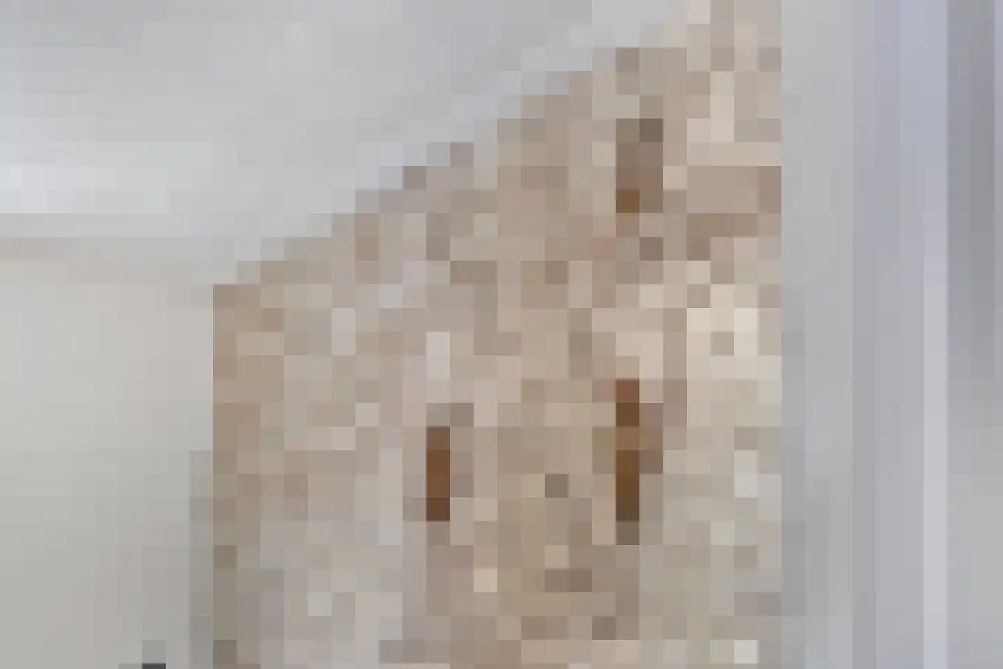 Burgwal 131 Kampen thumbnail 8