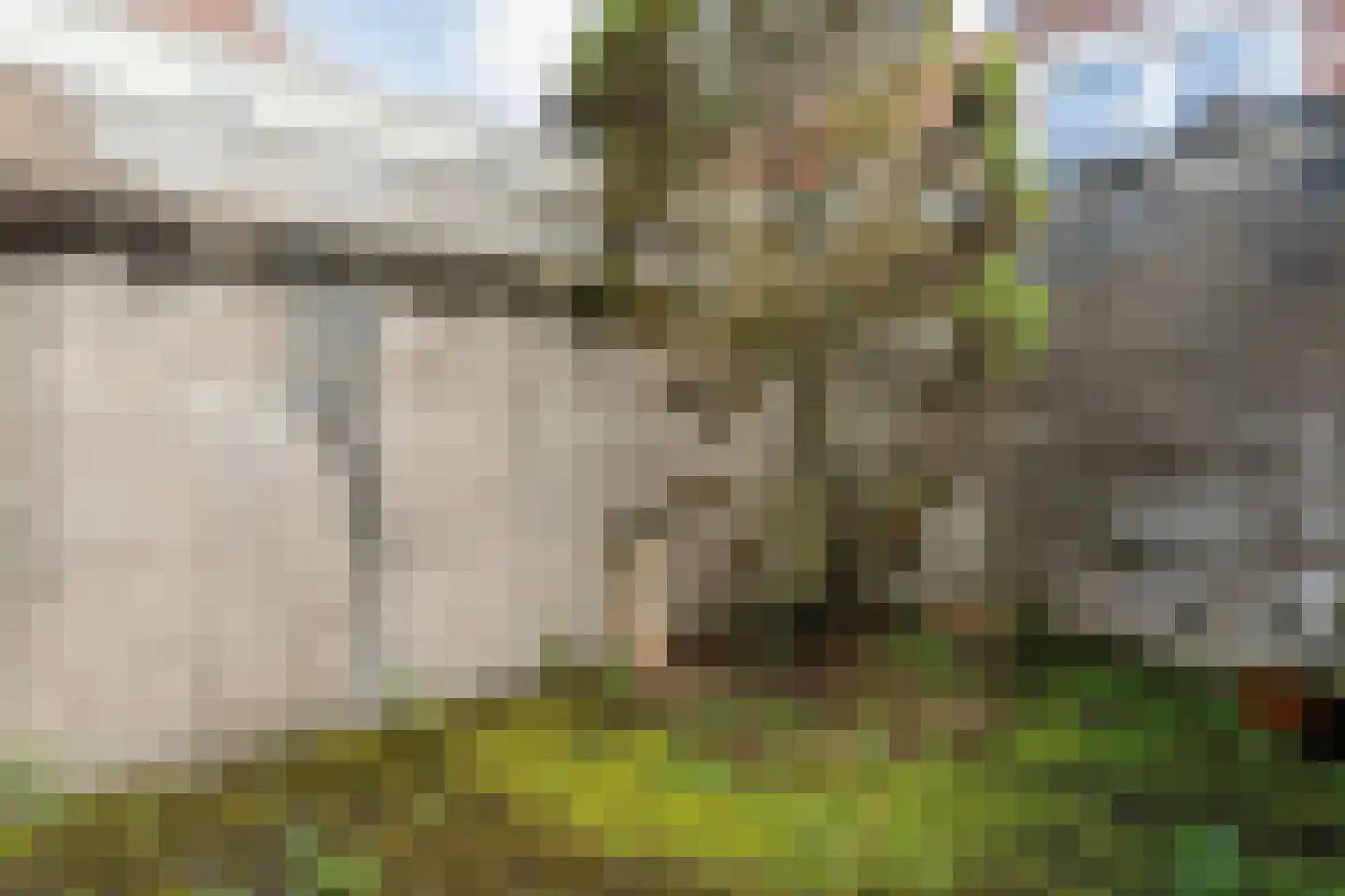 Burgwal 132 Kampen thumbnail 22