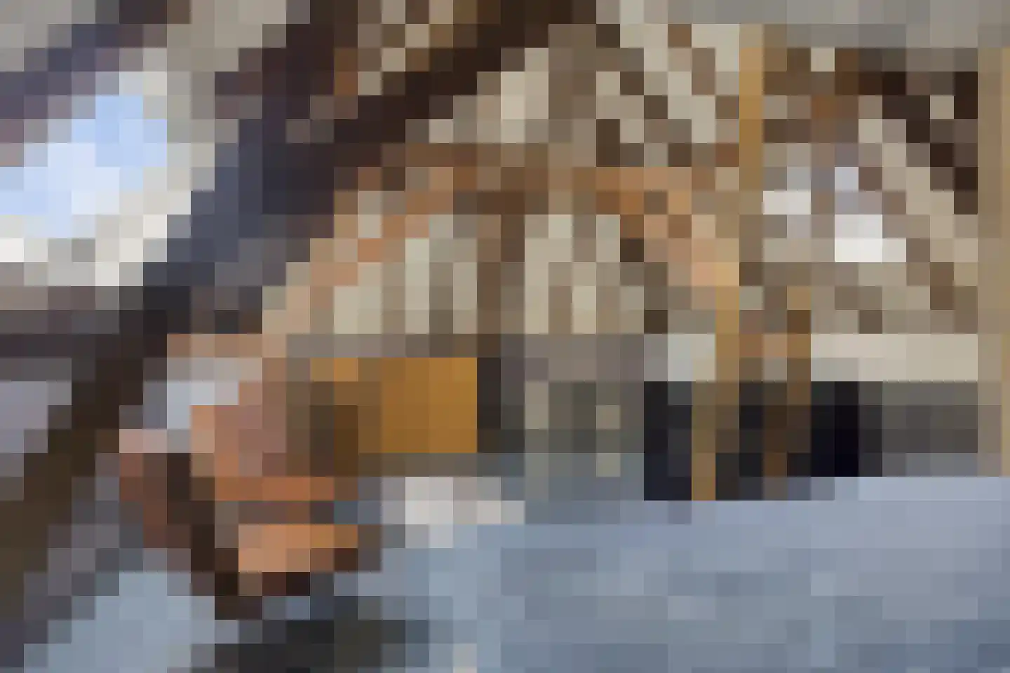 Burgwal 15 Kampen thumbnail 28