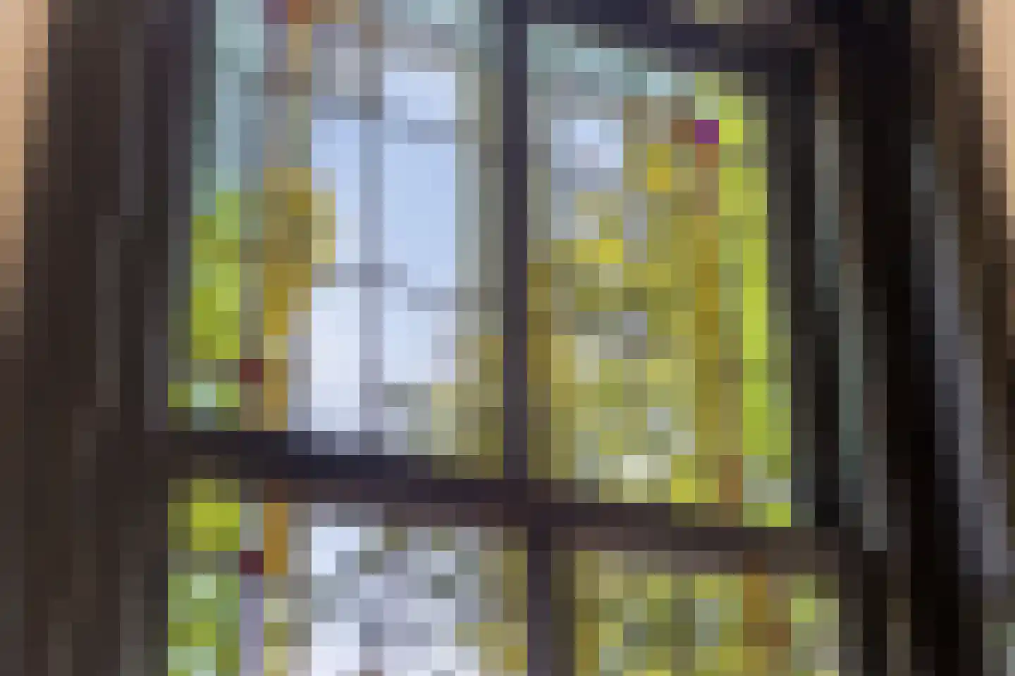 Burgwal 15 Kampen thumbnail 8