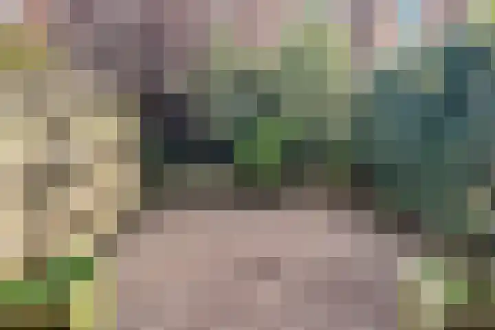 Burgwal 16 Den Burg thumbnail 12