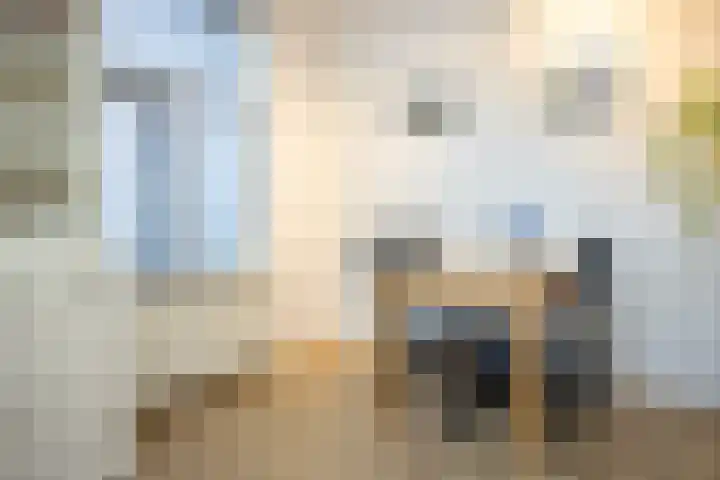 Burgwal 16 Den Burg thumbnail 14