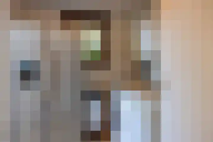 Burgwal 16 Den Burg thumbnail 16