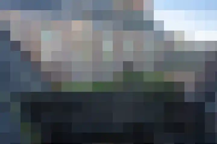 Burgwal 16 Den Burg thumbnail 22