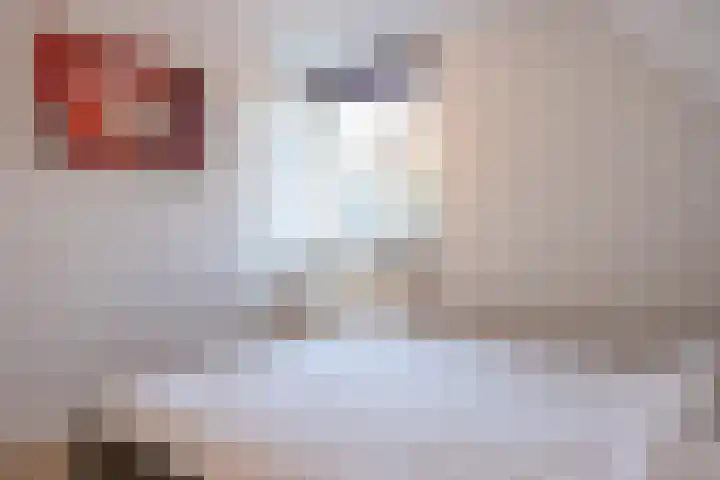 Burgwal 16 Den Burg thumbnail 24