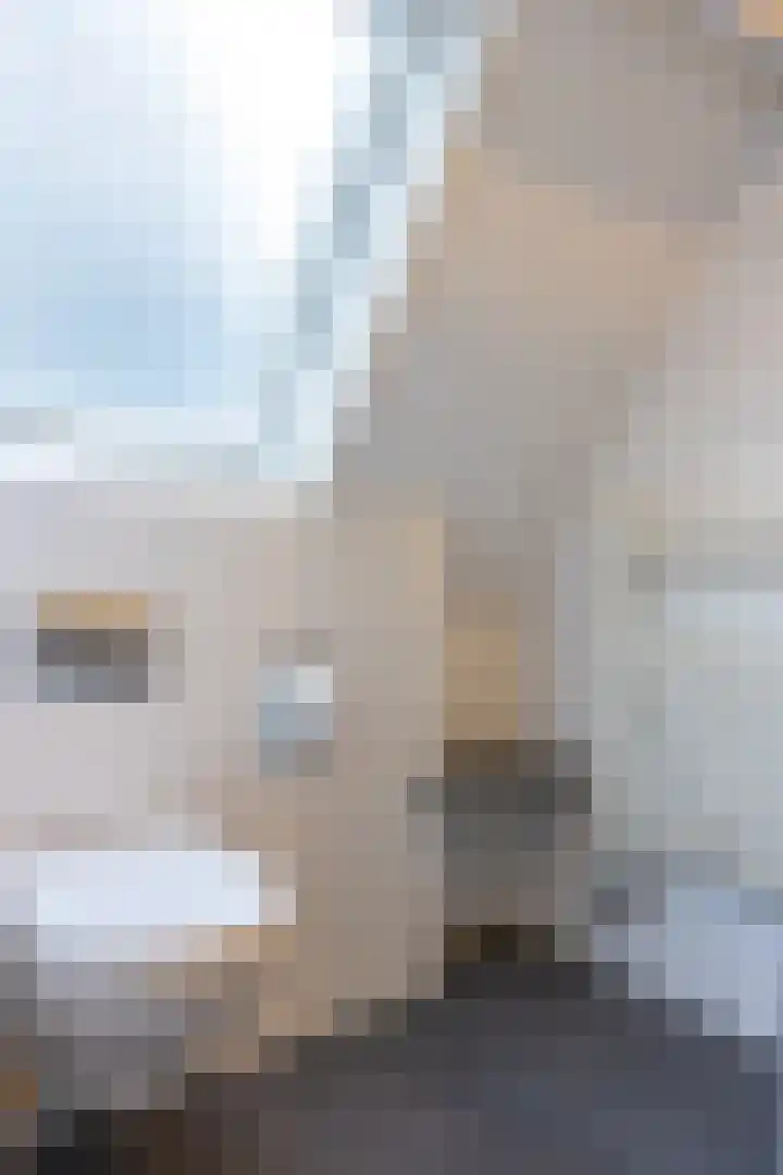 Burgwal 16 Den Burg thumbnail 27