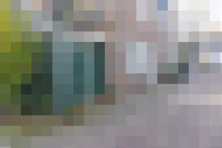 Burgwal 16 Den Burg thumbnail 32