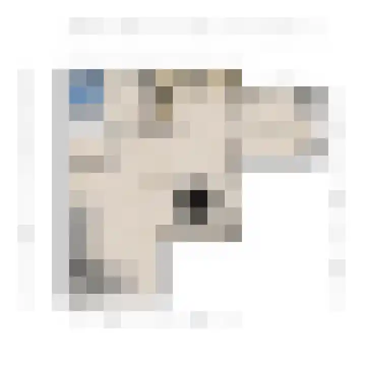 Burgwal 16 Den Burg thumbnail 33
