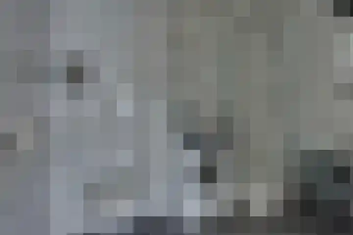 Burgwal 19 Kampen thumbnail 11