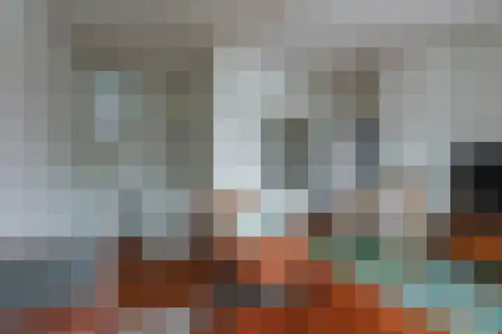 Burgwal 19 Kampen thumbnail 15