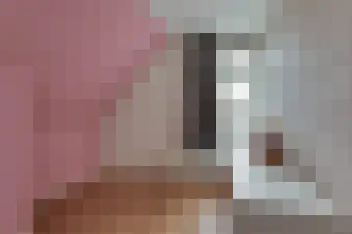 Burgwal 19 Kampen thumbnail 22