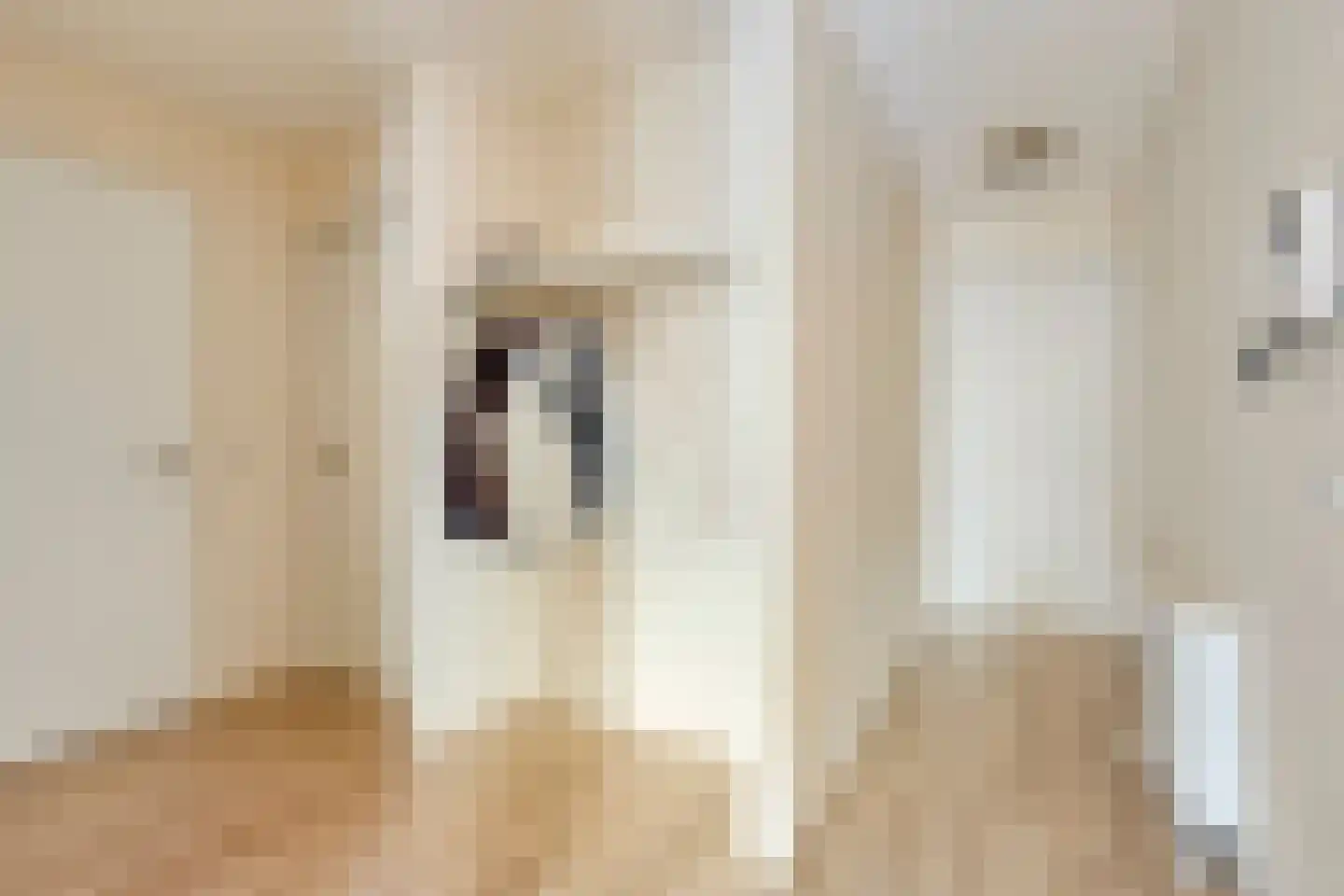 Burgwal 20 I Kampen thumbnail 11