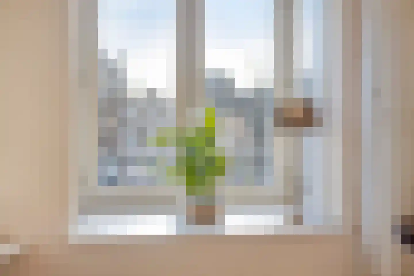 Burgwal 20 I Kampen thumbnail 18