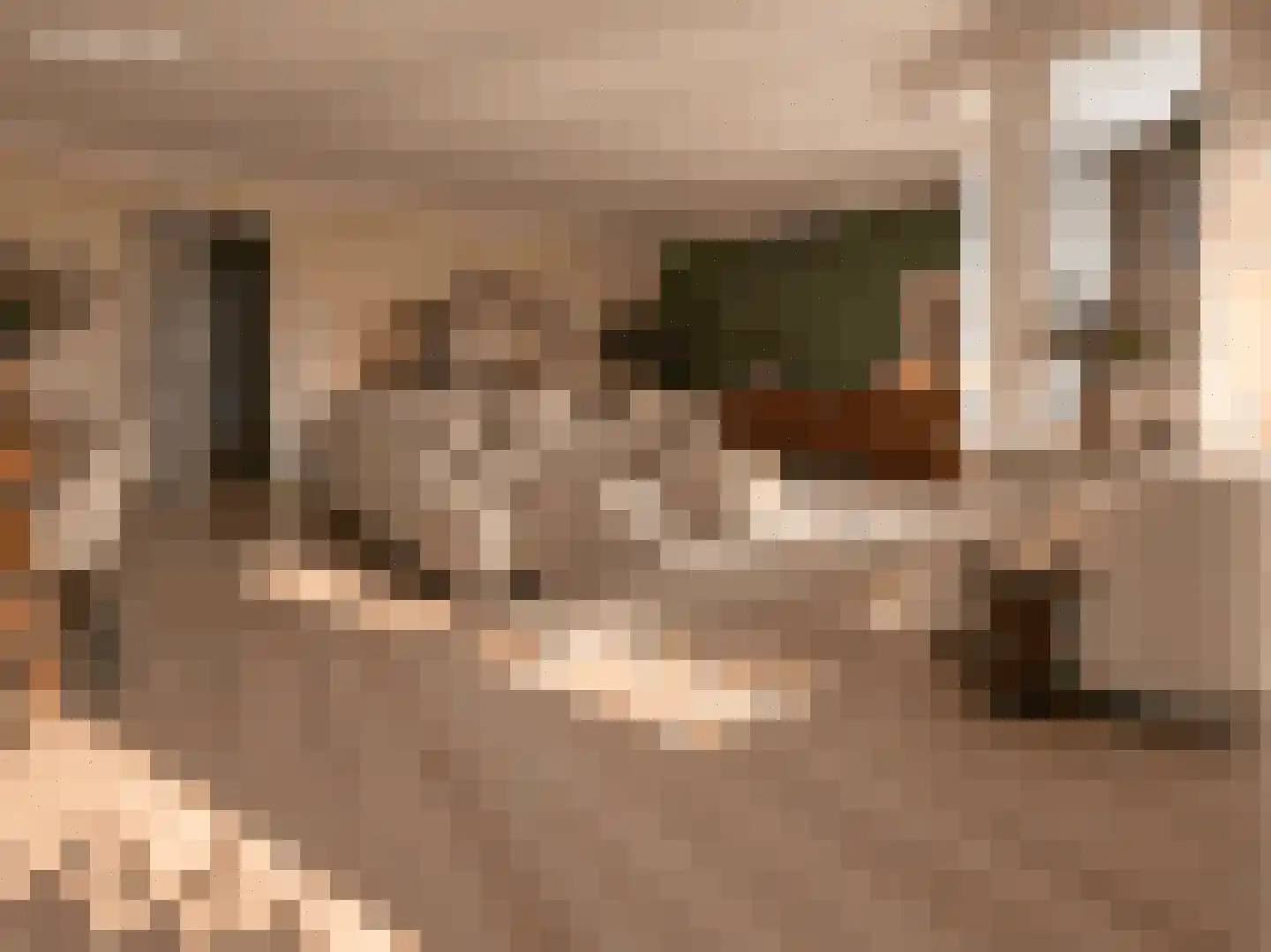 Burgwal 20 I Kampen thumbnail 43