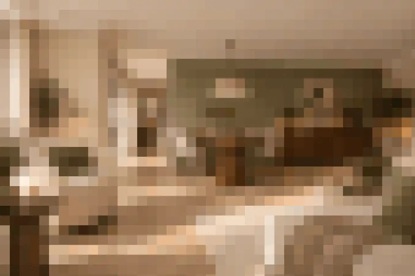 Burgwal 20 I Kampen thumbnail 45