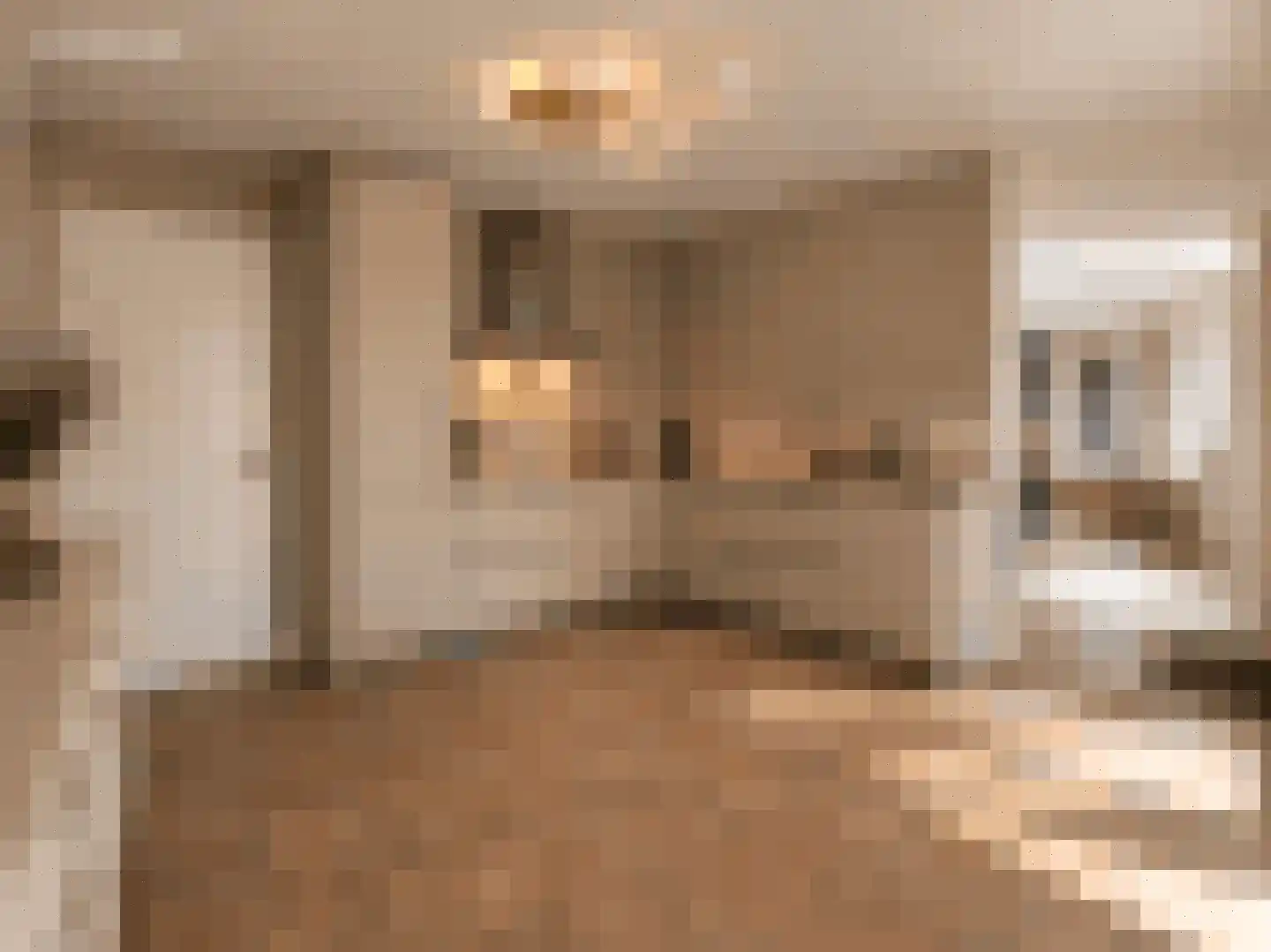 Burgwal 20 I Kampen thumbnail 46