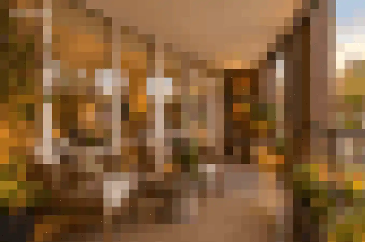 Burgwal 20 I Kampen thumbnail 47