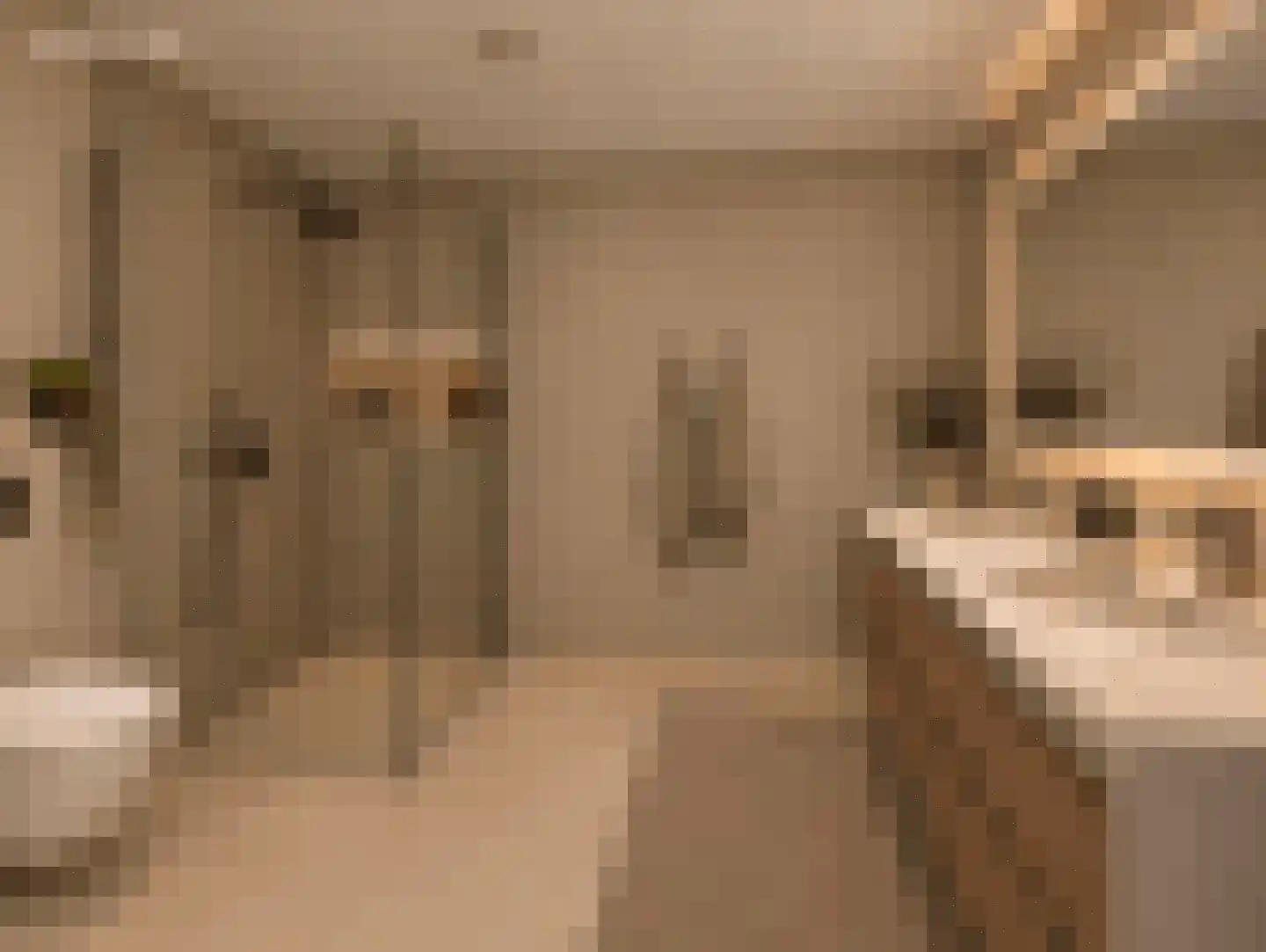Burgwal 20 I Kampen thumbnail 48