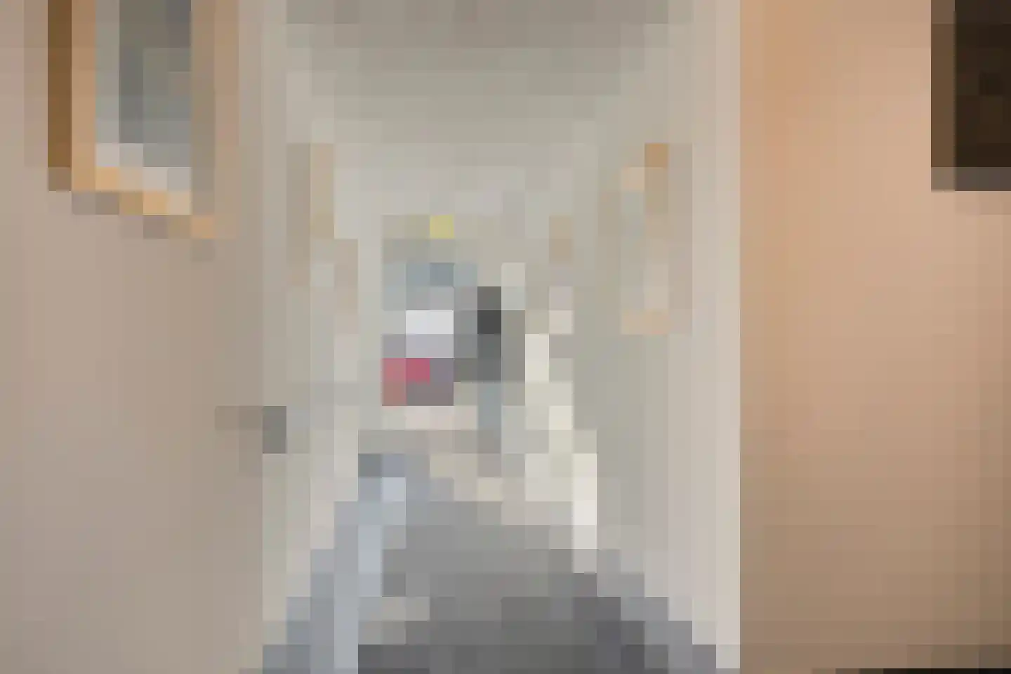 Burgwal 20 I Kampen thumbnail 8