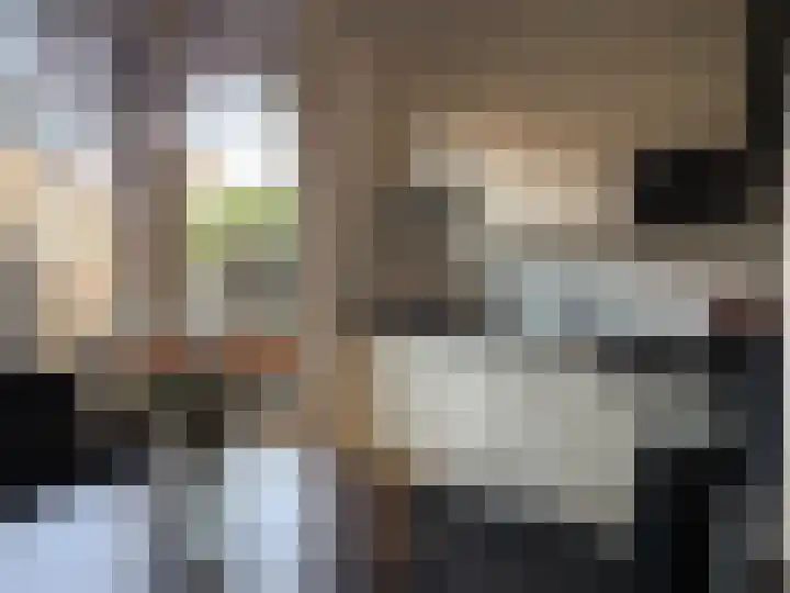 Burgwal 23 A Den Burg thumbnail 12
