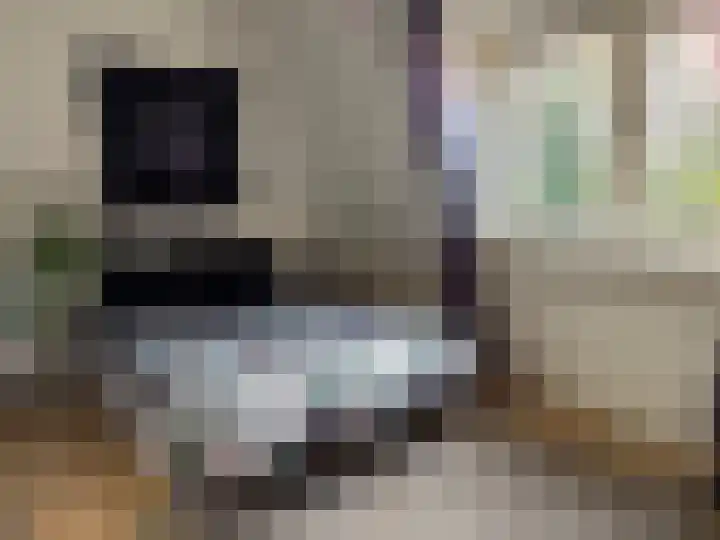 Burgwal 23 A Den Burg thumbnail 14