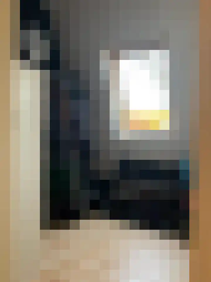 Burgwal 23 A Den Burg thumbnail 16