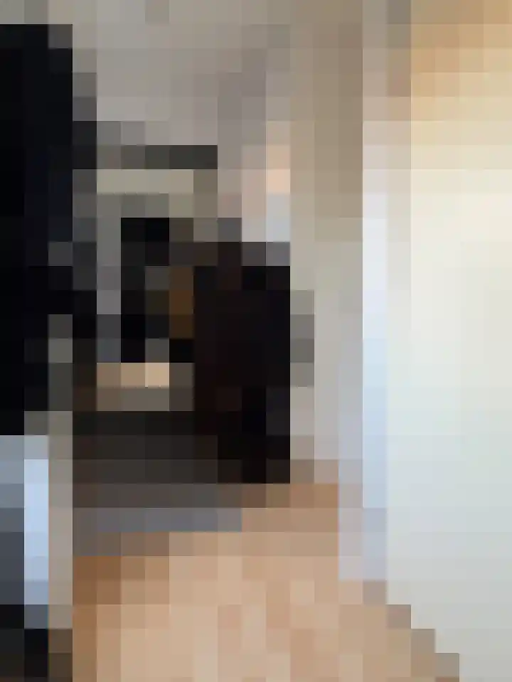 Burgwal 23 A Den Burg thumbnail 18