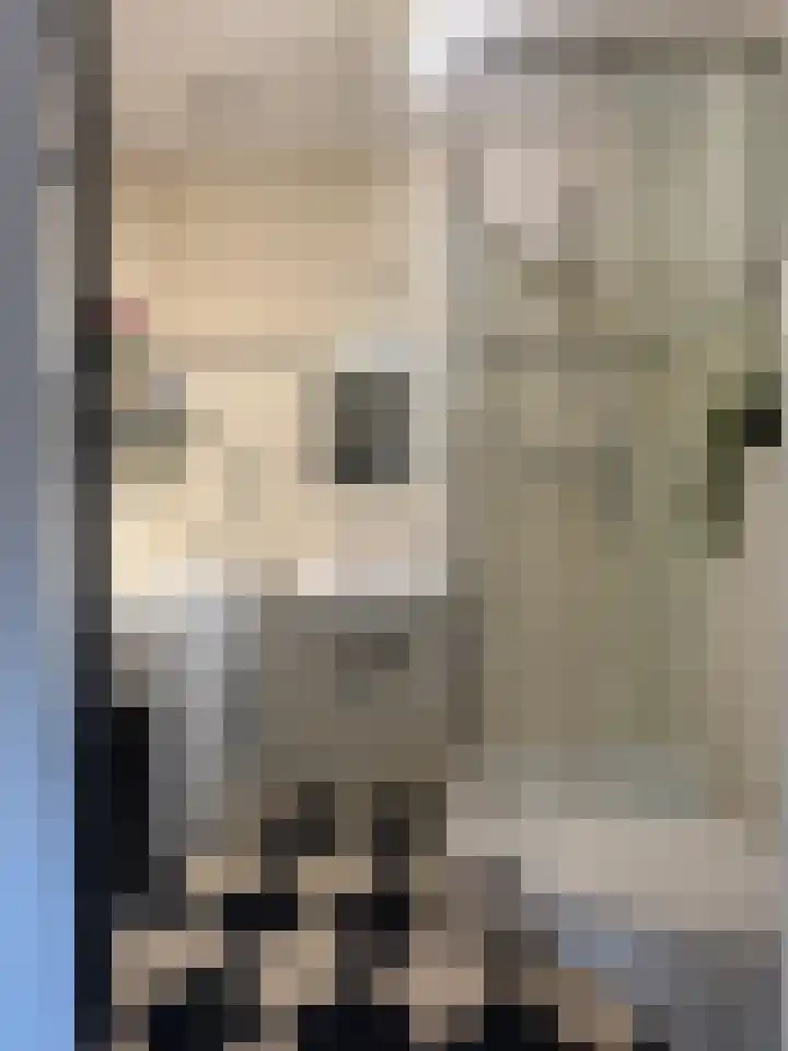 Burgwal 23 A Den Burg thumbnail 20