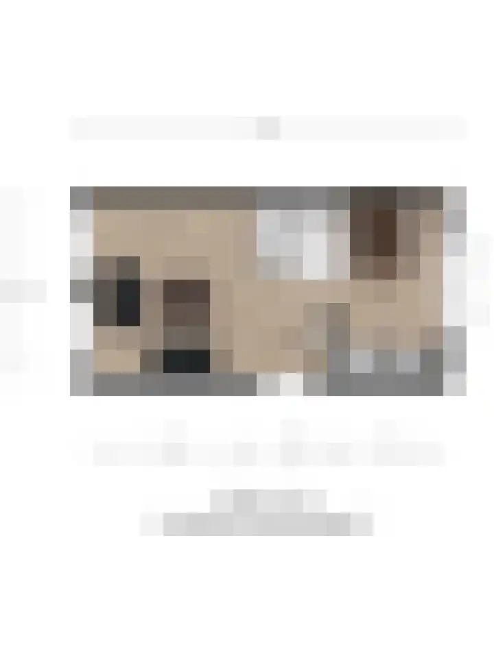 Burgwal 23 A Den Burg thumbnail 21