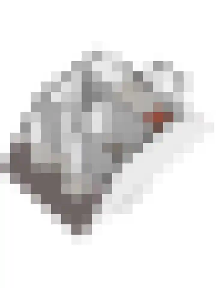 Burgwal 23 A Den Burg thumbnail 24
