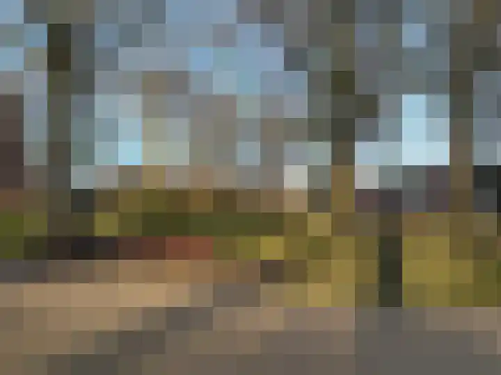 Burgwal 23 A Den Burg thumbnail 32
