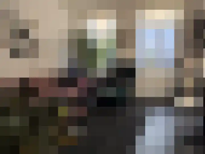 Burgwal 23 A Den Burg thumbnail 6