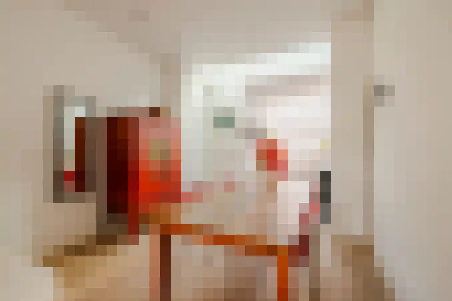 Burgwal 23 Haarlem thumbnail 10