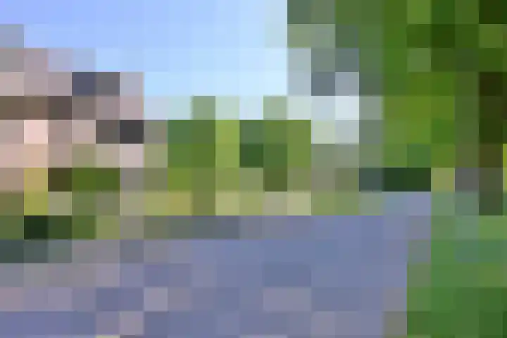 Burgwal 23 Haarlem thumbnail 11