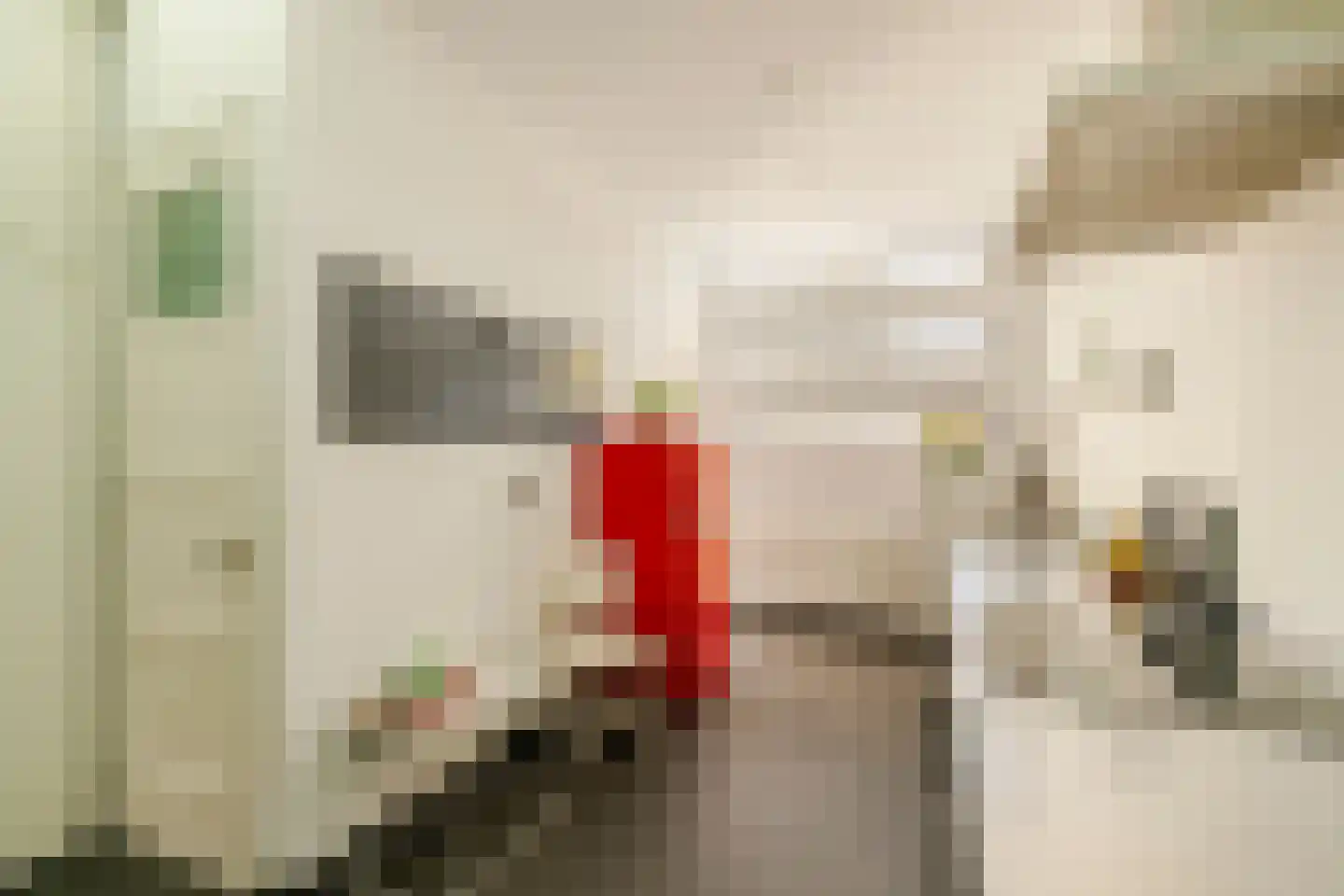 Burgwal 23 Haarlem thumbnail 14