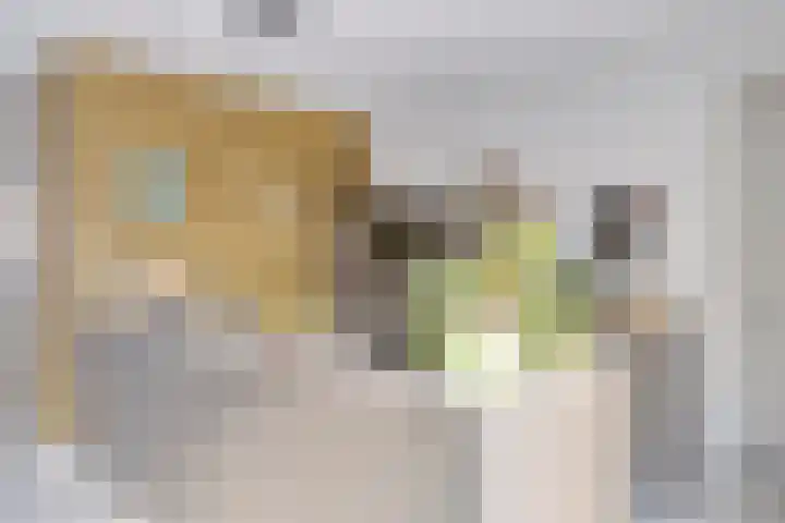 Burgwal 23 Haarlem thumbnail 14