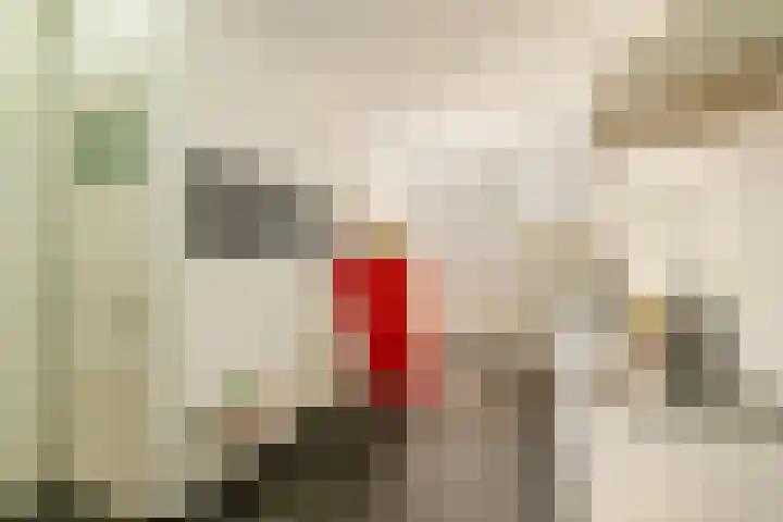 Burgwal 23 Haarlem thumbnail 15
