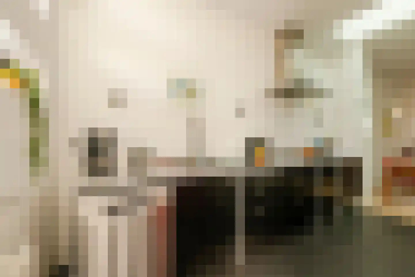 Burgwal 23 Haarlem thumbnail 16