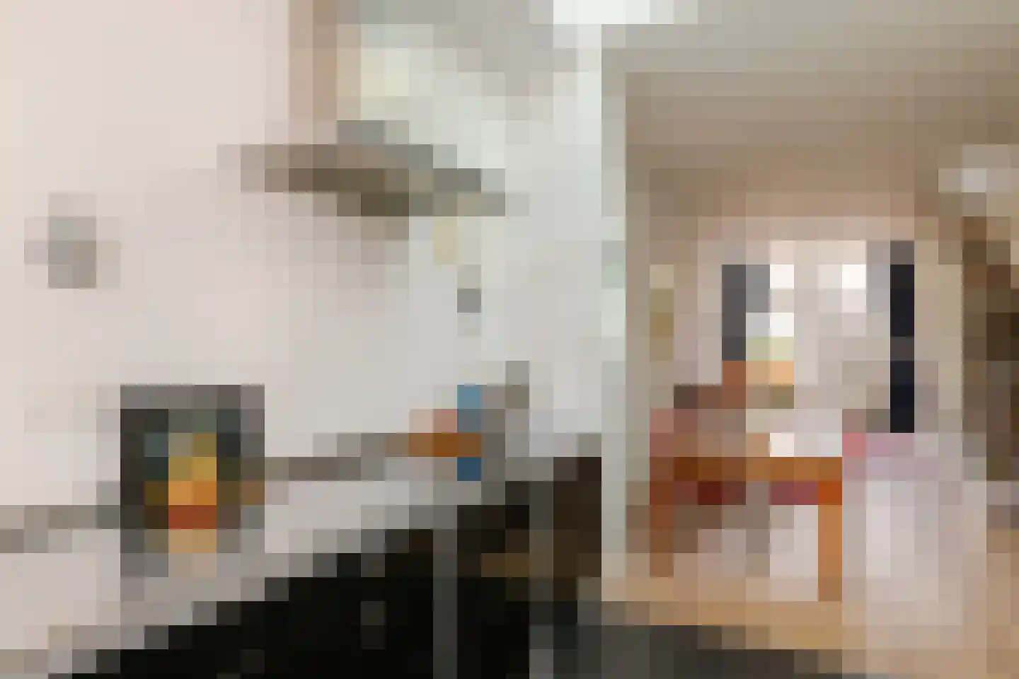 Burgwal 23 Haarlem thumbnail 17