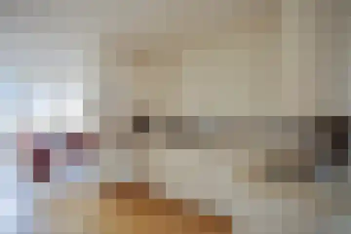 Burgwal 23 Haarlem thumbnail 17