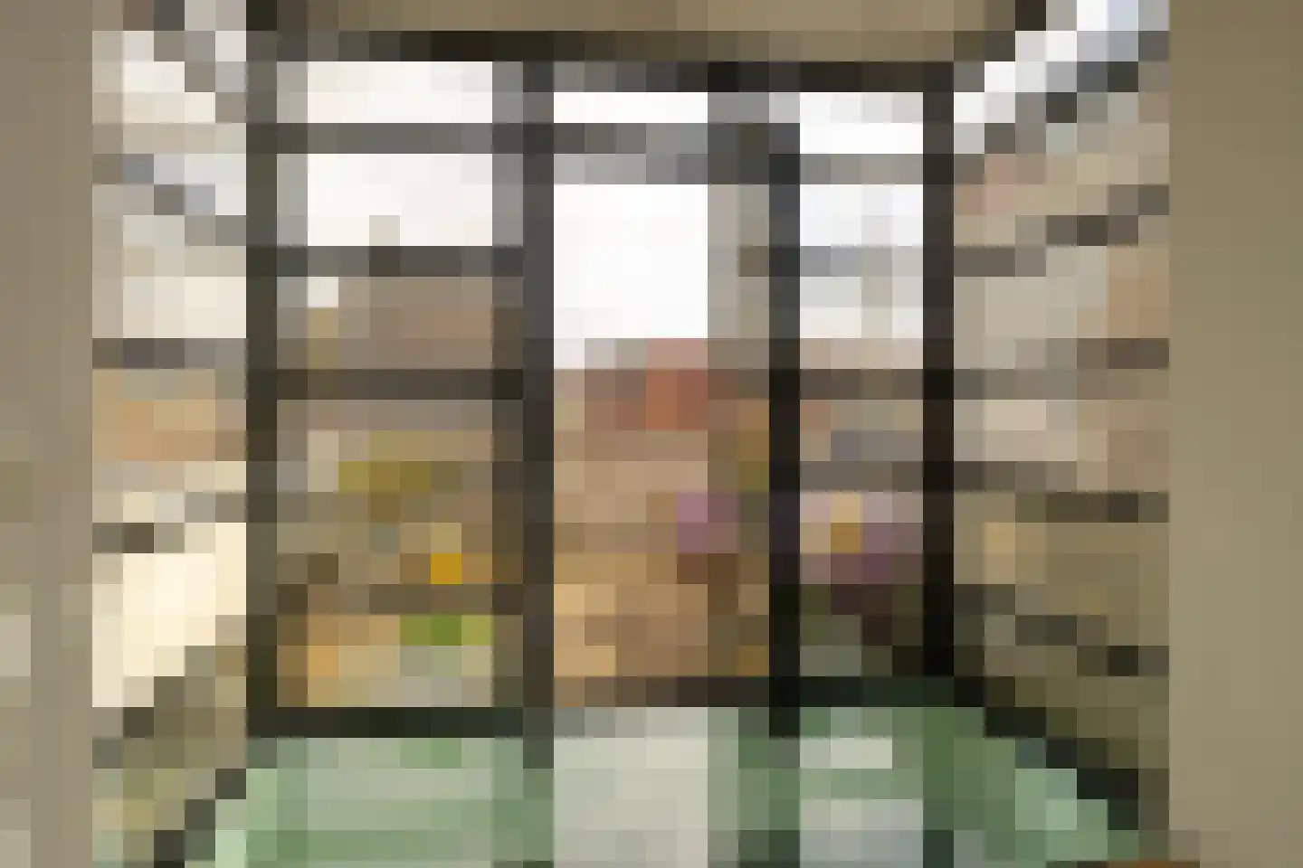 Burgwal 23 Haarlem thumbnail 21