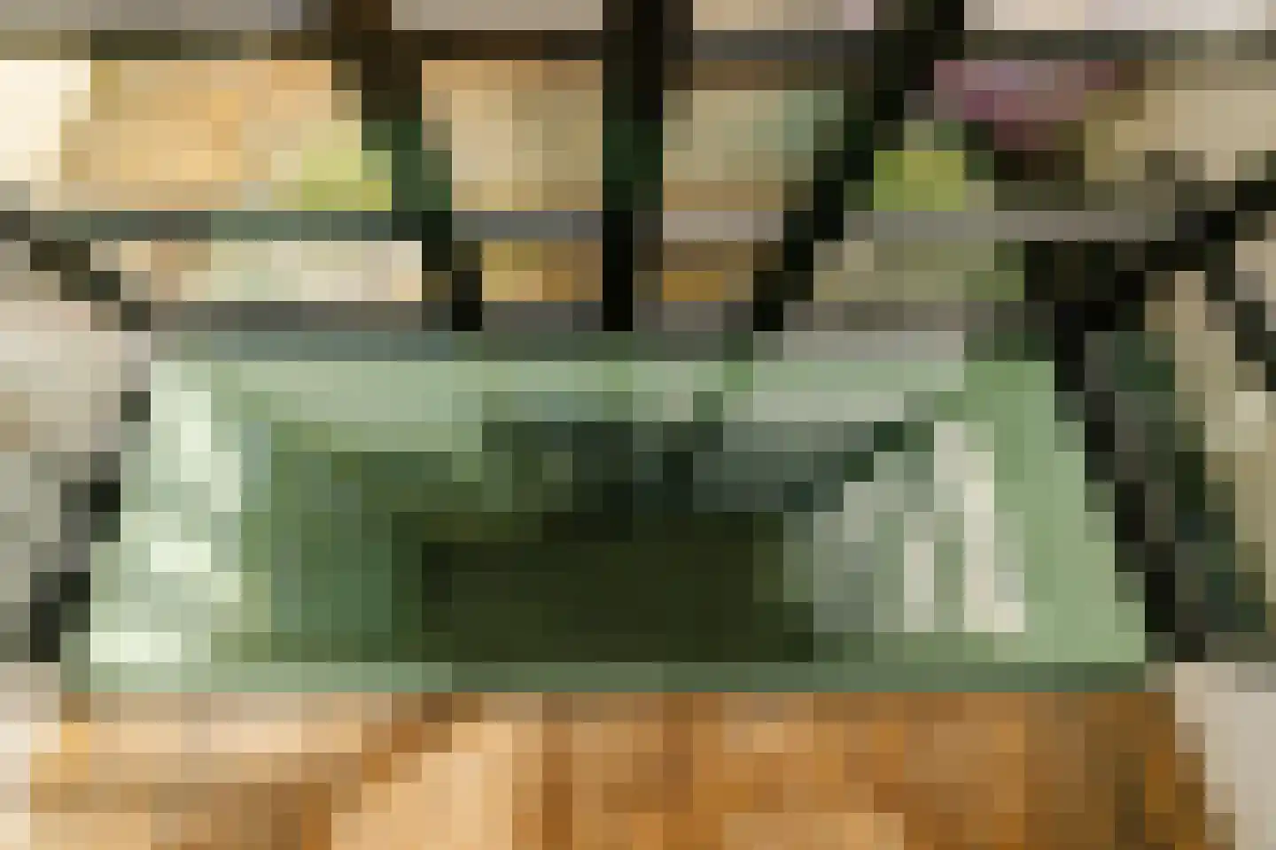 Burgwal 23 Haarlem thumbnail 22