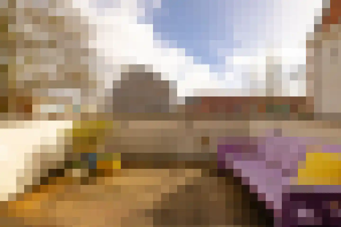 Burgwal 23 Haarlem thumbnail 24