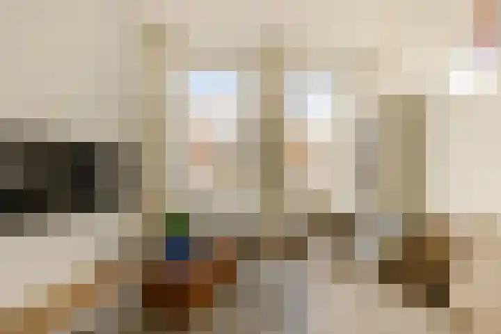 Burgwal 23 Haarlem thumbnail 28