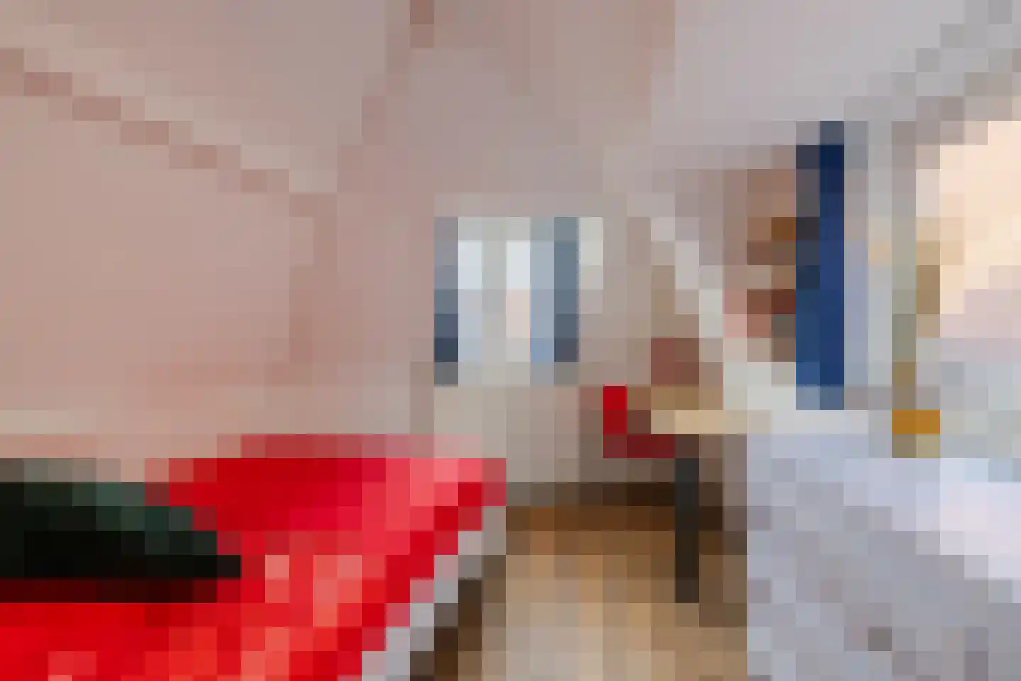 Burgwal 23 Haarlem thumbnail 31