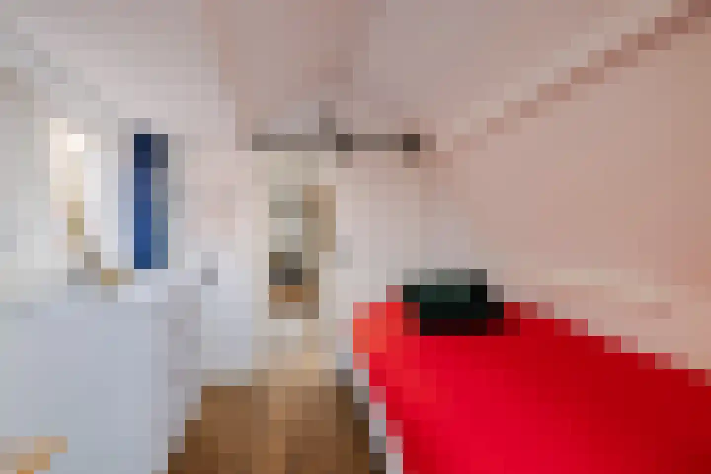 Burgwal 23 Haarlem thumbnail 32