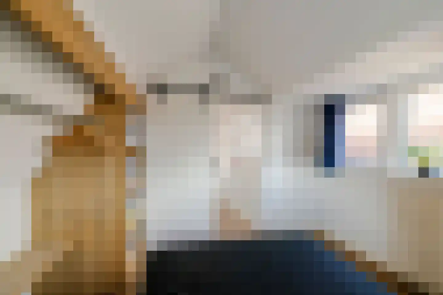 Burgwal 23 Haarlem thumbnail 36