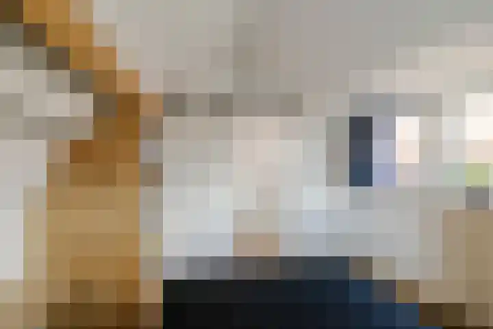 Burgwal 23 Haarlem thumbnail 37